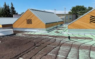 Rooftop with substrate, Aquafleece and dripperlines