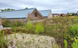 Green roof with sand pockets