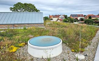 Green roof with roof lights