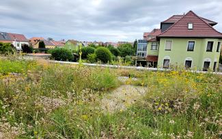 Green roof with sand pockets