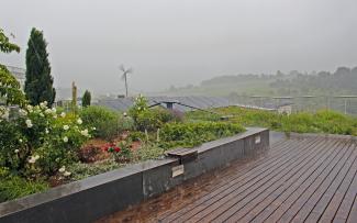 Roof garden during heavy rainfall