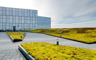 Access to the blossoming roof terrace on the events hall is from the three-storey wing of the office building. Roof garden with walkways and flowering plants