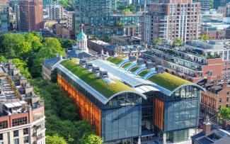 Vegetated barrel roof in the city