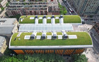 Green barrel roofs from bird's eye view