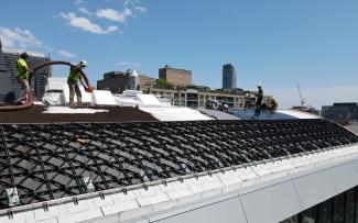 Georaster elements on a pitched roof