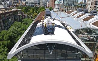 Workers on a barrel roof