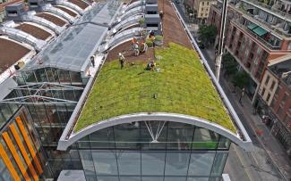 Barrel roof with vegetated mats and workers