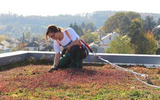 Roof gardener with safety system