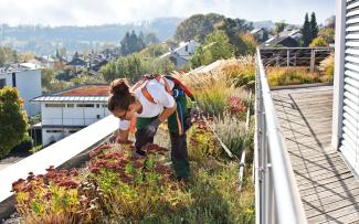 Roof gardener with safety system