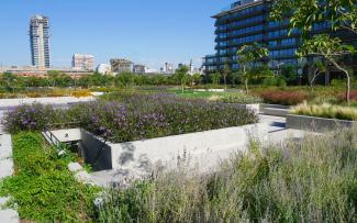 Walkways and lush greenery on top of an underground garage