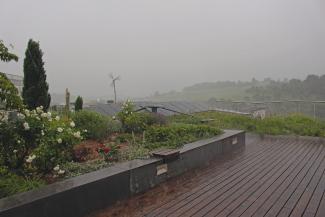 Heavy rain on a green roof