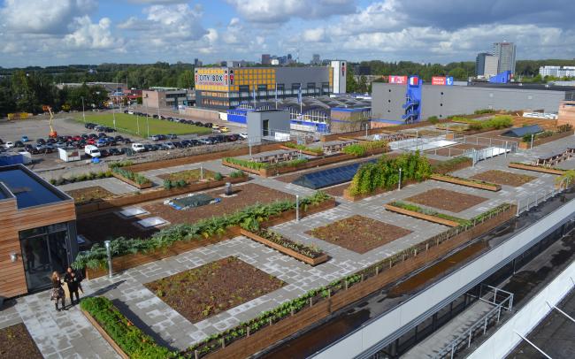 Bird's eye view on a large rooftop farm