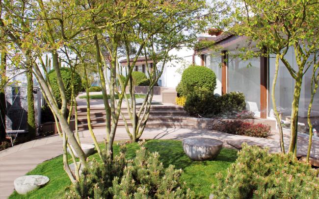 References Zinco Green Roof Systems - Small Trees For Rooftop Gardens References Zinco Green Roof Systems - Small Trees For Rooftop Gardens