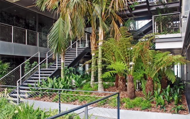 Palm trees and tropical plant within a building
