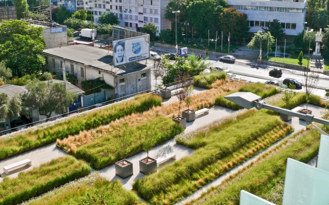 Bird's eye view onto a roof garden with ornamental grasses