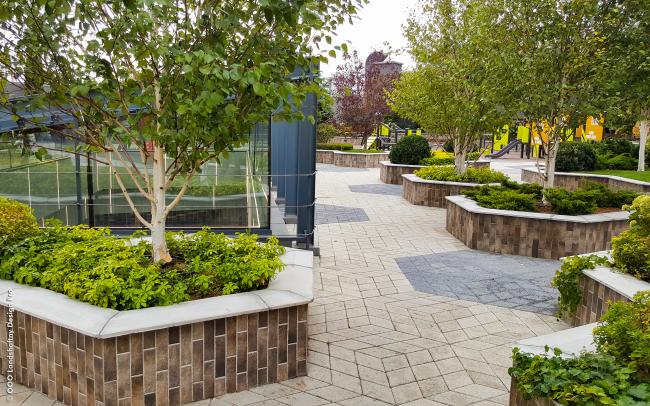 Walkways and raised plant beds with shrubs and small trees