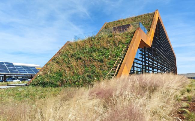 Steep pitched green roof