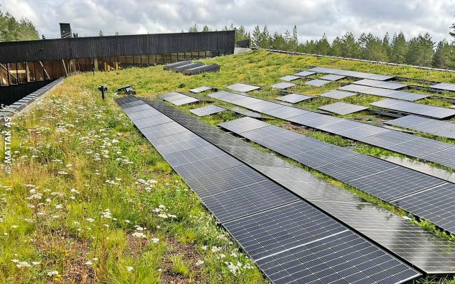 Biodiverse green roof with a solar system