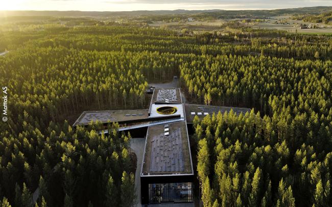 Factory with a green roof and solar surrounded by wood