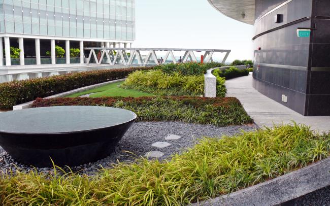 Roof garden with water basin