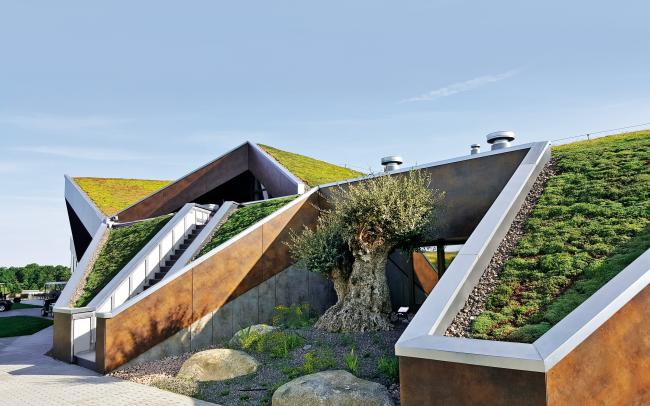 Steep pitched green roof areas