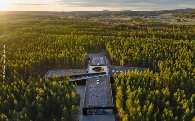 Factory with a green roof and solar surrounded by wood