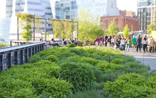 More than 20 million people have visited the High Line Park so far.