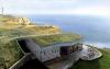 Green roof by the ocean