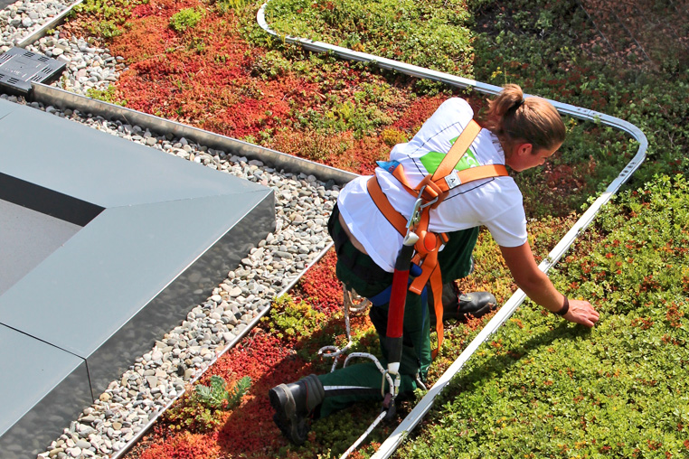 Roof gardener with safety device